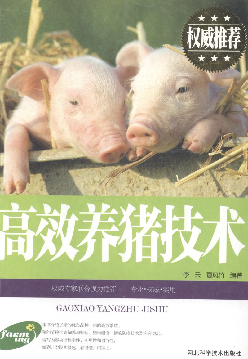 运动服饰行业的最新趋势